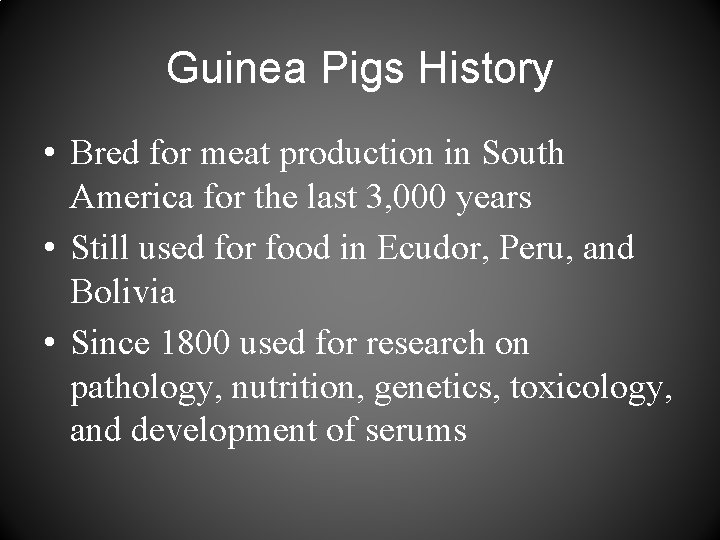 Guinea Pigs History • Bred for meat production in South America for the last