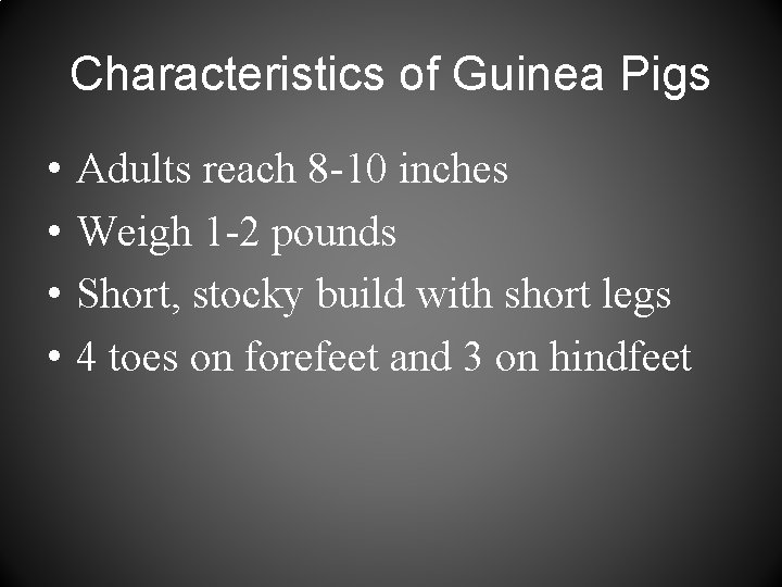 Characteristics of Guinea Pigs • • Adults reach 8 -10 inches Weigh 1 -2
