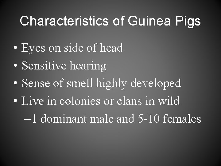 Characteristics of Guinea Pigs • • Eyes on side of head Sensitive hearing Sense