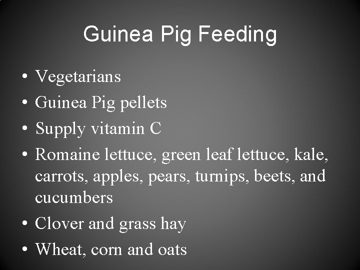 Guinea Pig Feeding • • Vegetarians Guinea Pig pellets Supply vitamin C Romaine lettuce,