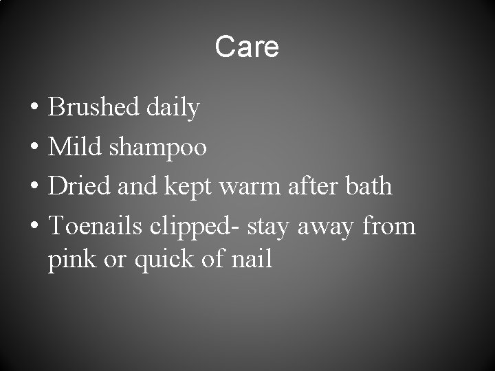 Care • • Brushed daily Mild shampoo Dried and kept warm after bath Toenails