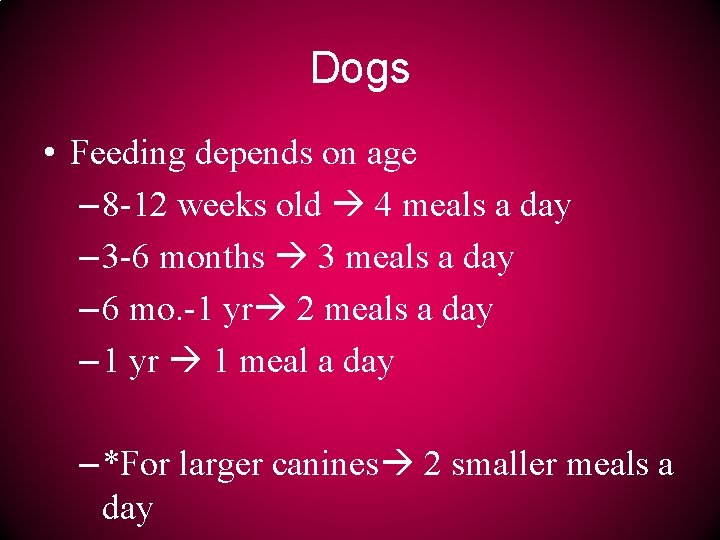 Dogs • Feeding depends on age – 8 -12 weeks old 4 meals a