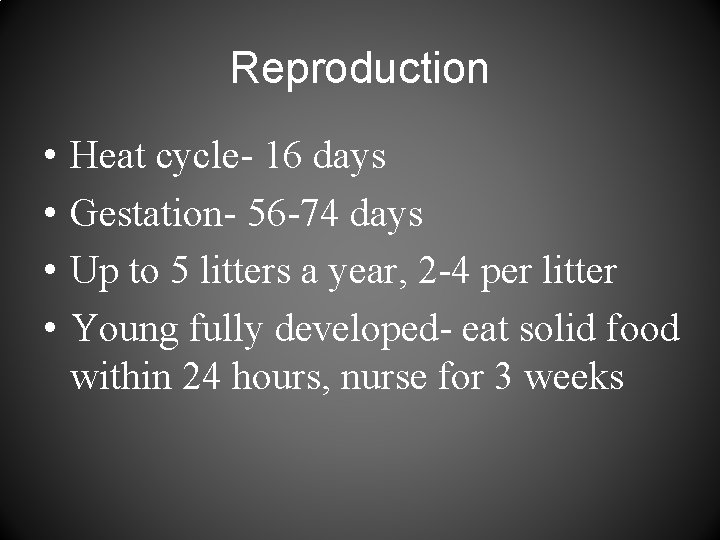 Reproduction • • Heat cycle- 16 days Gestation- 56 -74 days Up to 5