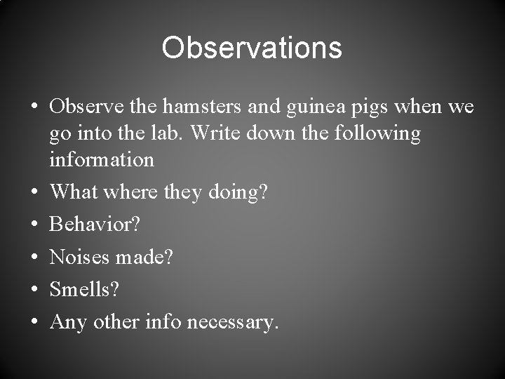 Observations • Observe the hamsters and guinea pigs when we go into the lab.