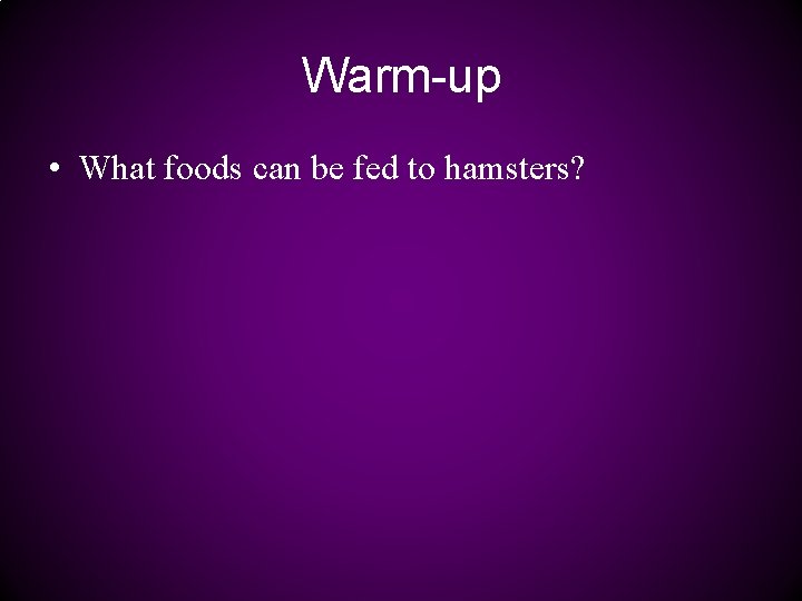 Warm-up • What foods can be fed to hamsters? 