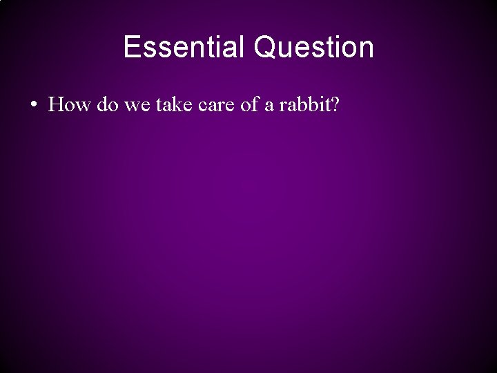 Essential Question • How do we take care of a rabbit? 