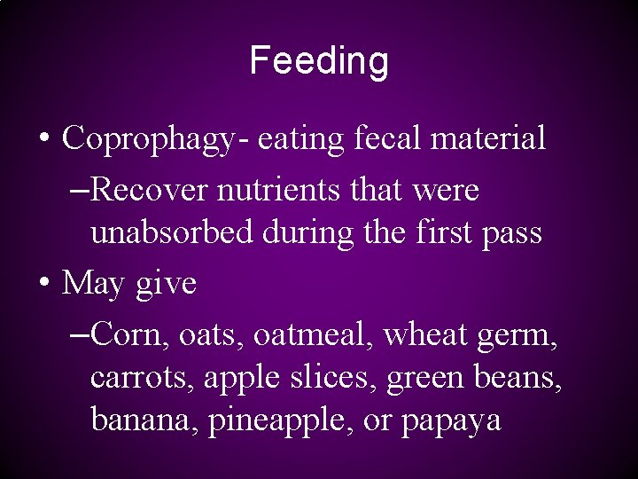 Feeding • Coprophagy- eating fecal material –Recover nutrients that were unabsorbed during the first