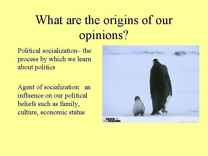 What are the origins of our opinions? Political socialization– the process by which we