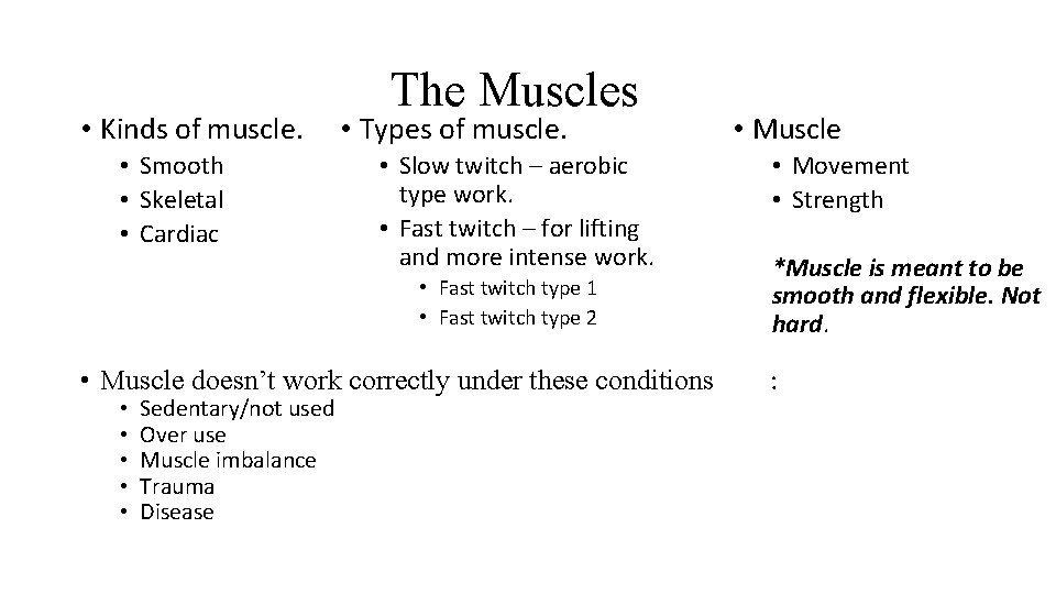  • Kinds of muscle. • Smooth • Skeletal • Cardiac The Muscles •