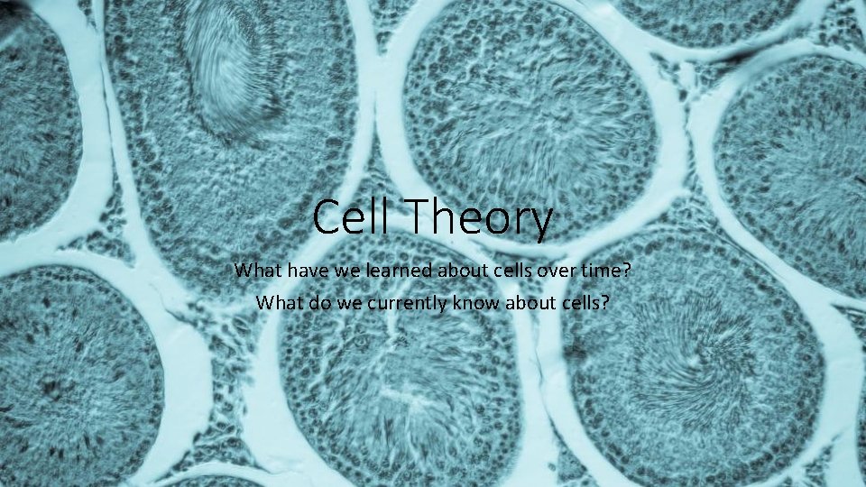 Cell Theory What have we learned about cells over time? What do we currently