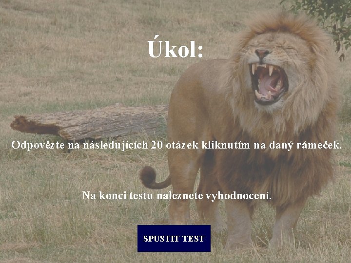 Úkol: Odpovězte na následujících 20 otázek kliknutím na daný rámeček. Na konci testu naleznete