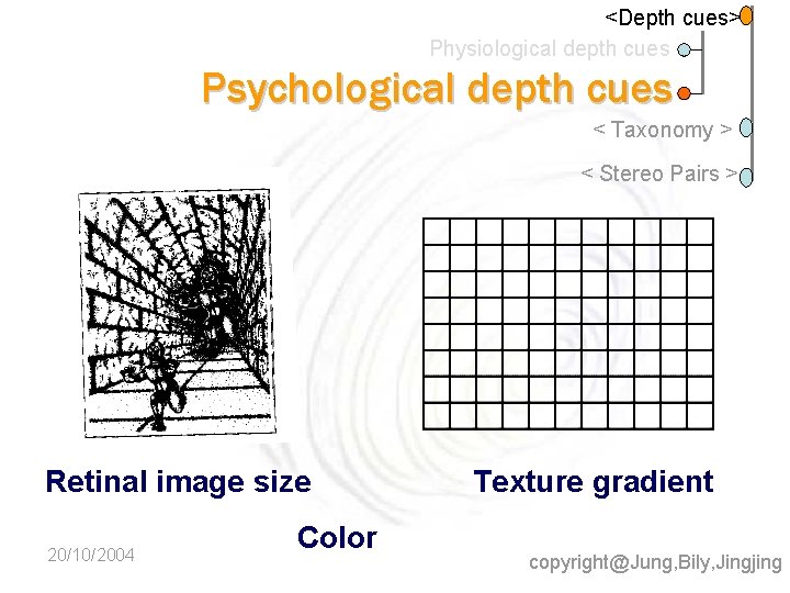 <Depth cues> Physiological depth cues Psychological depth cues < Taxonomy > < Stereo Pairs