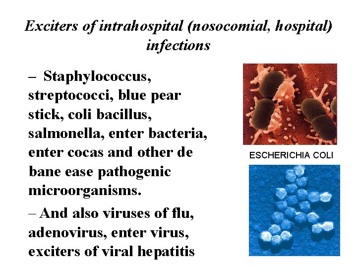 Exciters of intrahospital (nosocomial, hospital) infections – Staphylococcus, streptococci, blue pear stick, coli bacillus,