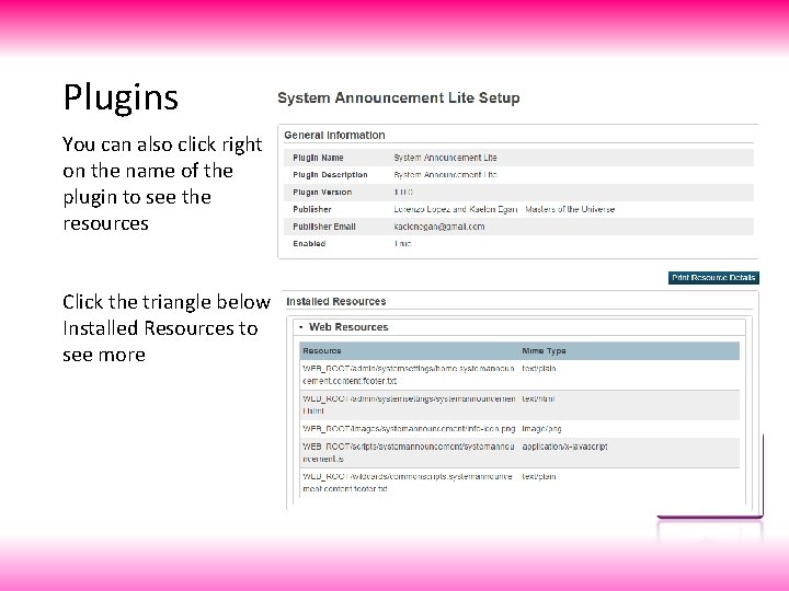 Plugins You can also click right on the name of the plugin to see