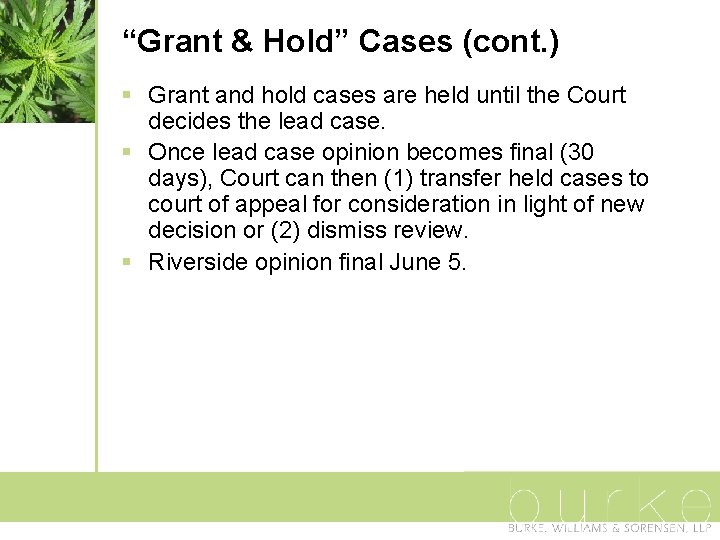 “Grant & Hold” Cases (cont. ) § Grant and hold cases are held until