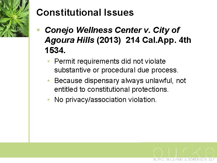Constitutional Issues § Conejo Wellness Center v. City of Agoura Hills (2013) 214 Cal.