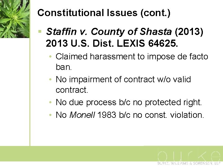 Constitutional Issues (cont. ) § Staffin v. County of Shasta (2013) 2013 U. S.