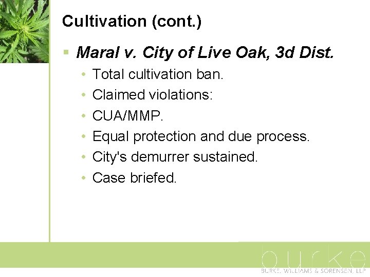 Cultivation (cont. ) § Maral v. City of Live Oak, 3 d Dist. •