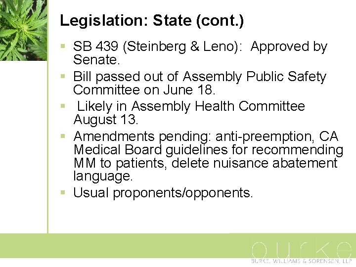 Legislation: State (cont. ) § SB 439 (Steinberg & Leno): Approved by Senate. §