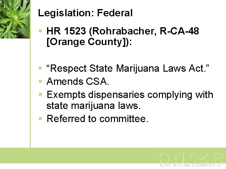 Legislation: Federal § HR 1523 (Rohrabacher, R-CA-48 [Orange County]): § “Respect State Marijuana Laws