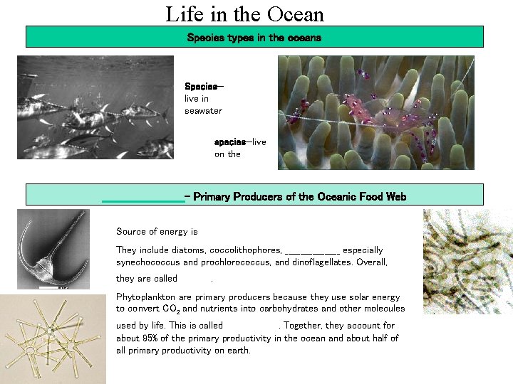 Life in the Ocean Species types in the oceans ______ Species— live in seawater
