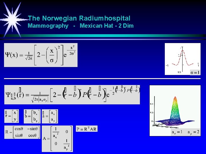 The Norwegian Radiumhospital Mammography - Mexican Hat - 2 Dim 