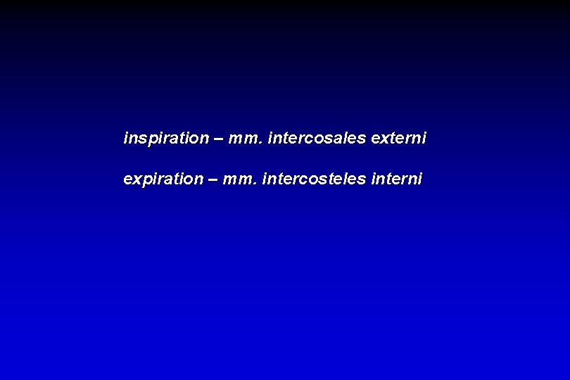 inspiration – mm. intercosales externi expiration – mm. intercosteles interni 