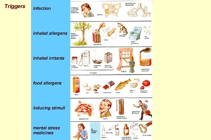 Triggers Infection inhaled allergens inhaled irritants food allergens inducing stimuli mental stress medicines 