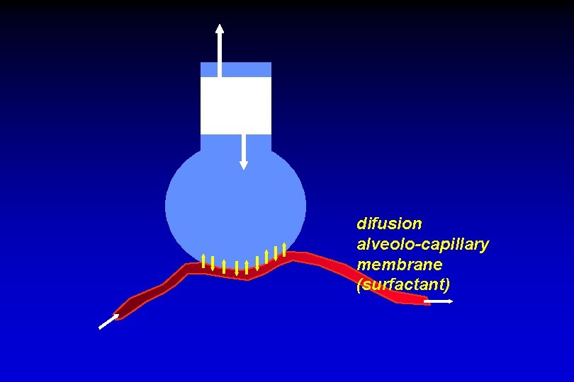 difusion alveolo-capillary membrane (surfactant) 