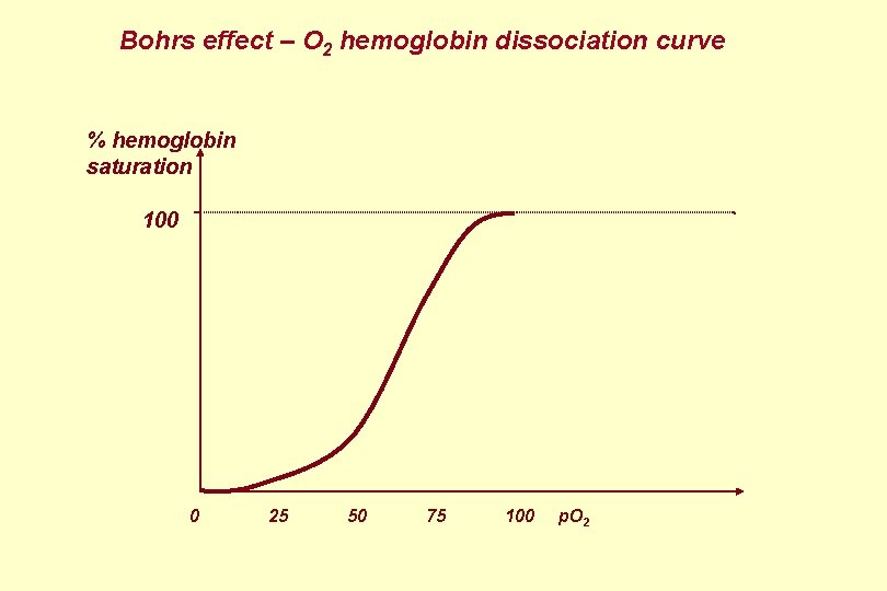 Bohrs effect – O 2 hemoglobin dissociation curve % hemoglobin saturation 100 0 25