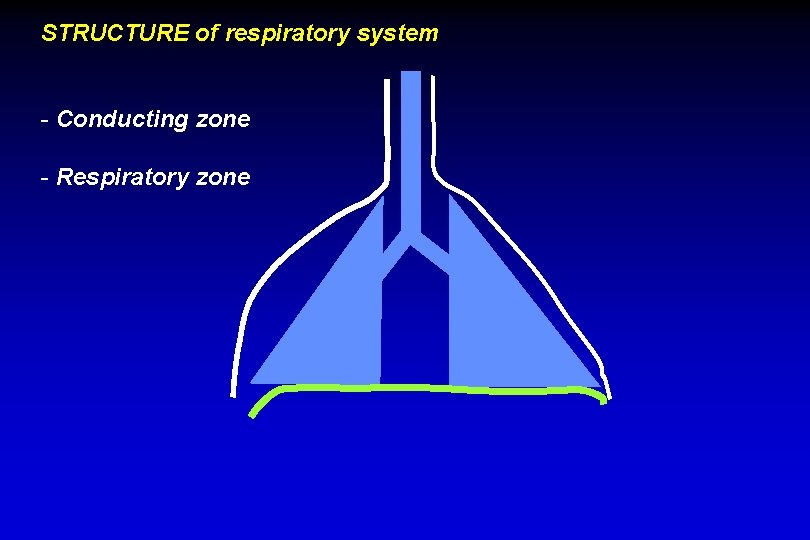 STRUCTURE of respiratory system - Conducting zone - Respiratory zone 