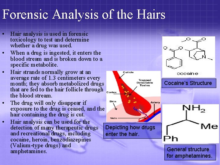 Forensic Analysis of the Hairs • Hair analysis is used in forensic toxicology to