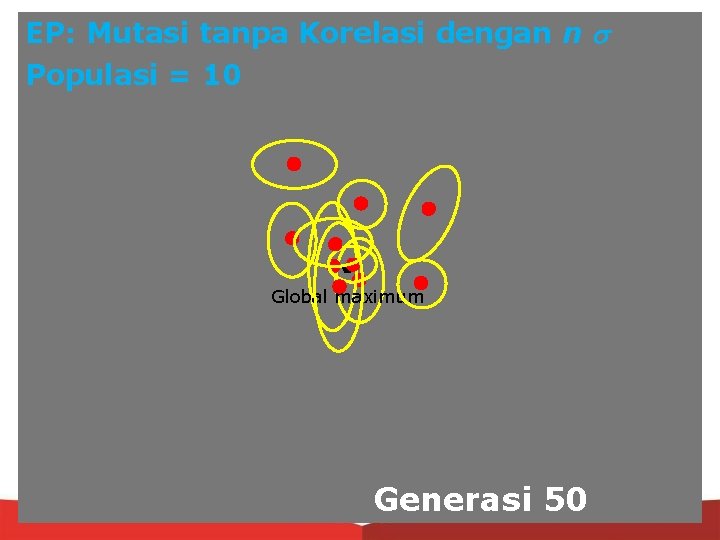 EP: Mutasi tanpa Korelasi dengan n Populasi = 10 Global maximum Generasi 50 