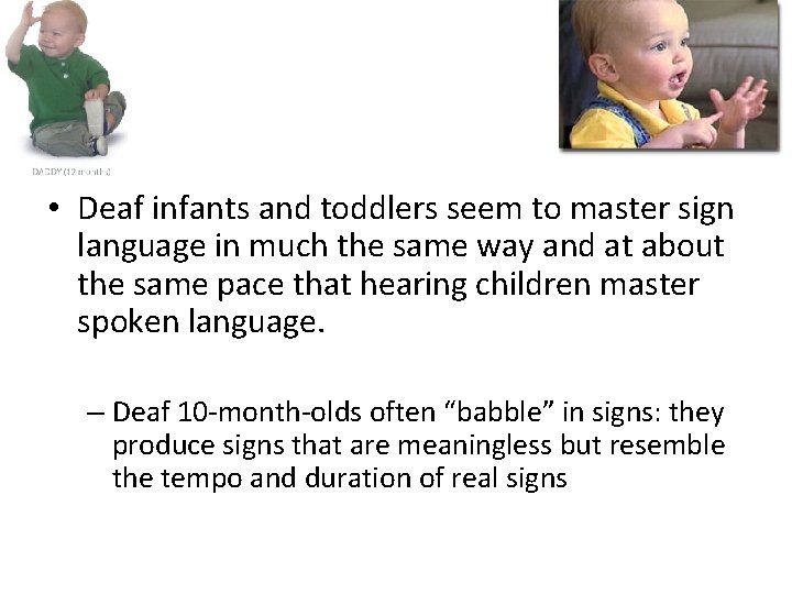  • Deaf infants and toddlers seem to master sign language in much the