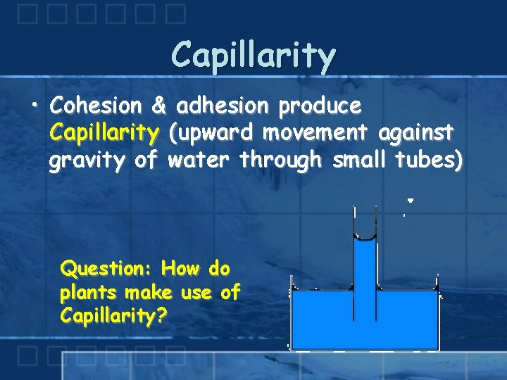 Capillarity • Cohesion & adhesion produce Capillarity (upward movement against gravity of water through