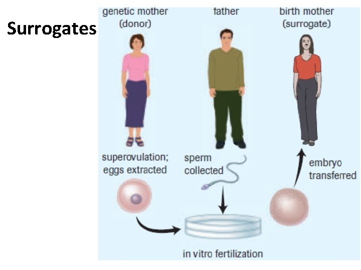 Surrogates 