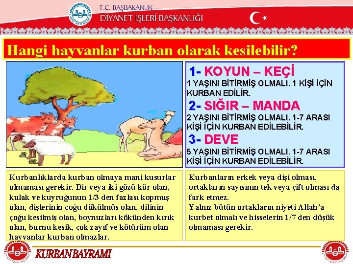 T. C. KÖYCEĞİZ MÜFTÜLÜĞÜ Hangi hayvanlar kurban olarak kesilebilir? 1 - KOYUN – KEÇİ