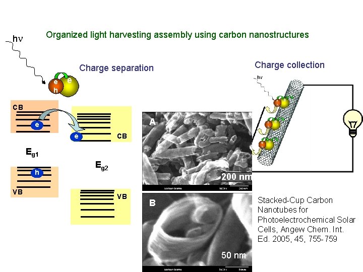 Organized light harvesting assembly using carbon nanostructures hn Charge collection Charge separation e h