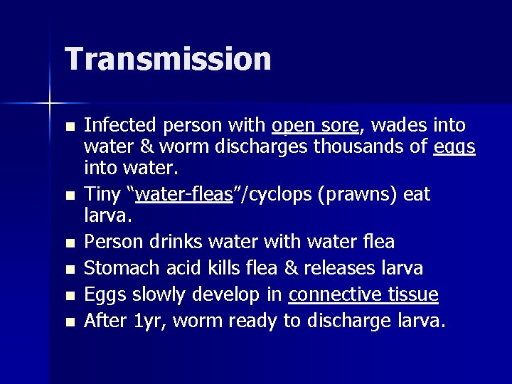 Transmission n n n Infected person with open sore, wades into water & worm