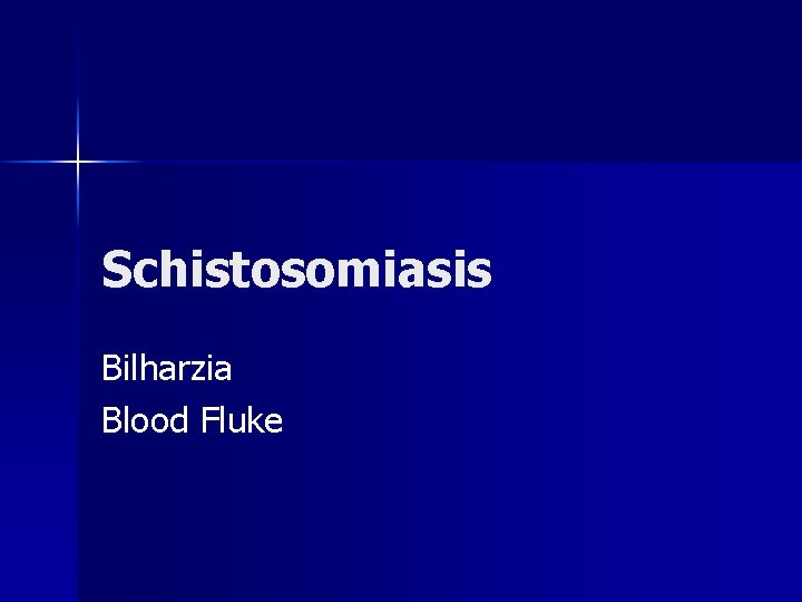 Schistosomiasis Bilharzia Blood Fluke 