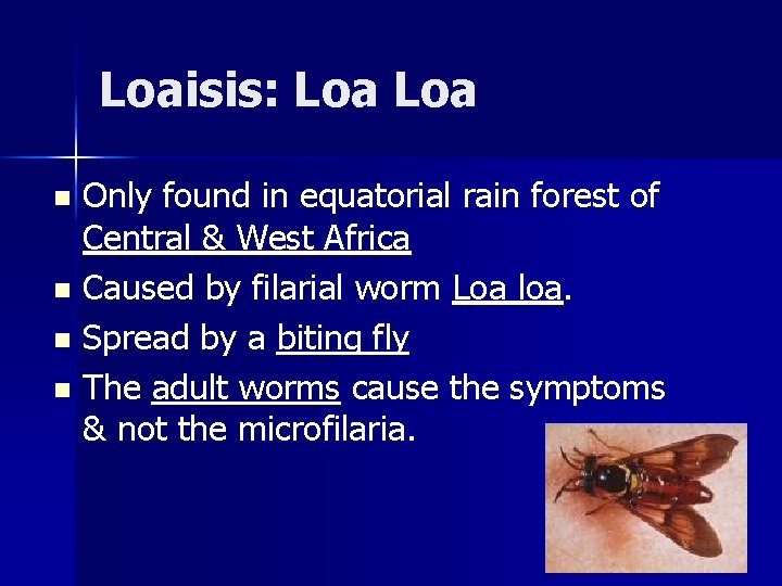 Loaisis: Loa Only found in equatorial rain forest of Central & West Africa n