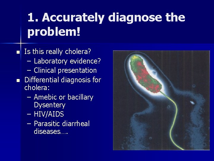 1. Accurately diagnose the problem! n n Is this really cholera? – Laboratory evidence?