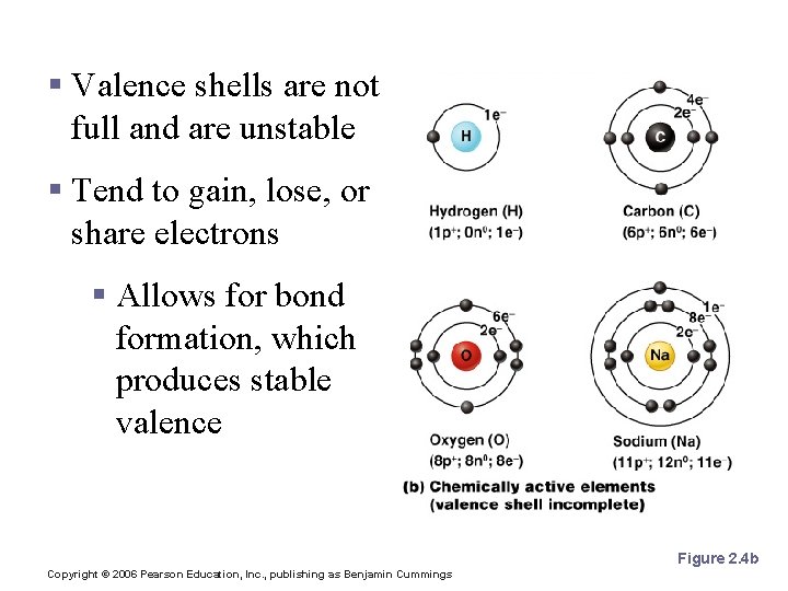 Reactive Elements § Valence shells are not full and are unstable § Tend to