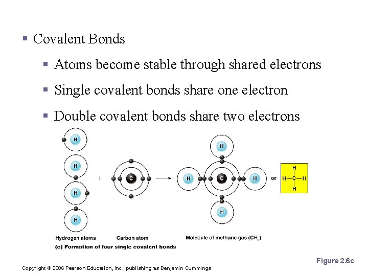 Chemical Bonds § Covalent Bonds § Atoms become stable through shared electrons § Single