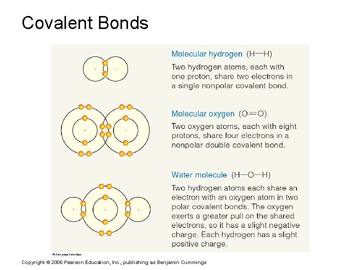 Covalent Bonds Copyright © 2006 Pearson Education, Inc. , publishing as Benjamin Cummings 