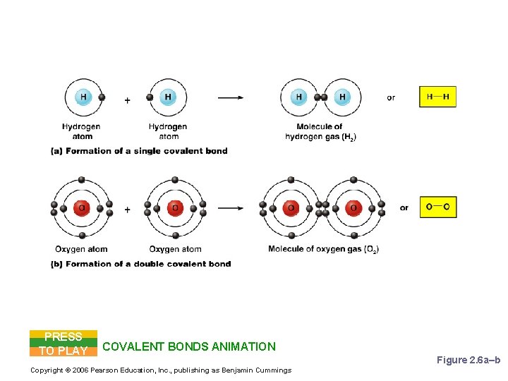 Examples of Covalent Bonds PRESS TO PLAY COVALENT BONDS ANIMATION Copyright © 2006 Pearson