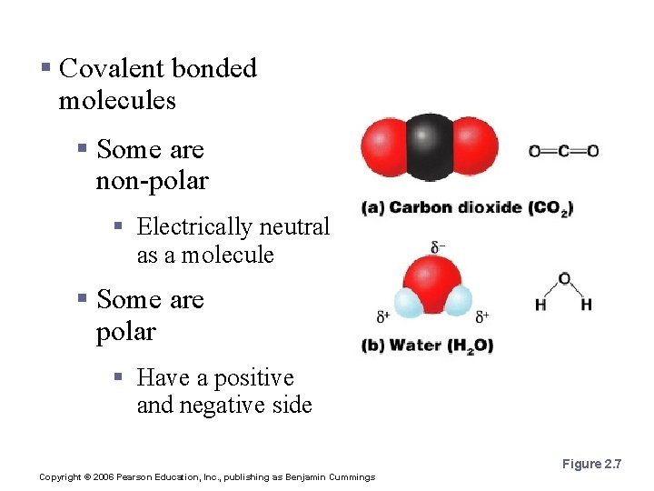 Polarity § Covalent bonded molecules § Some are non-polar § Electrically neutral as a