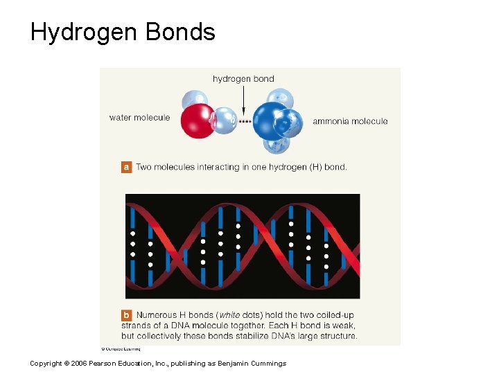 Hydrogen Bonds Copyright © 2006 Pearson Education, Inc. , publishing as Benjamin Cummings 