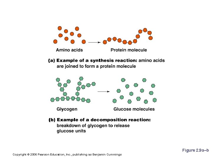 Synthesis and Decomposition Reactions Figure 2. 9 a–b Copyright © 2006 Pearson Education, Inc.