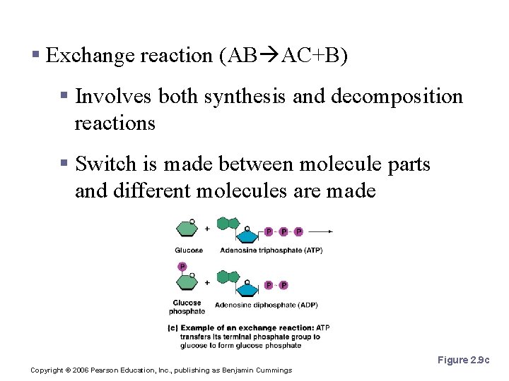 Patterns of Chemical Reactions § Exchange reaction (AB AC+B) § Involves both synthesis and